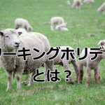 ワーキングホリデーとは？