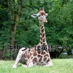 キリン