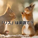 2匹のリス