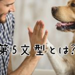 男性と犬