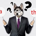 考える犬