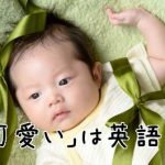 赤ちゃん
