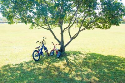 公園と自転車