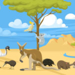 オーストラリアの動物のイラスト