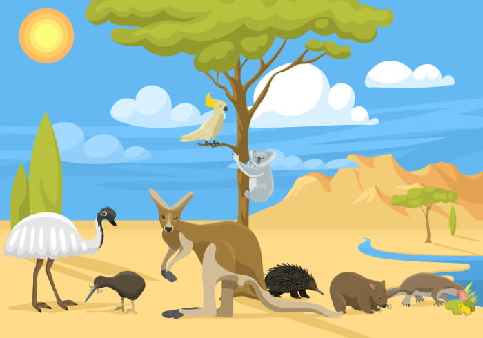 オーストラリアの動物のイラスト
