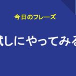 試しにやってみる