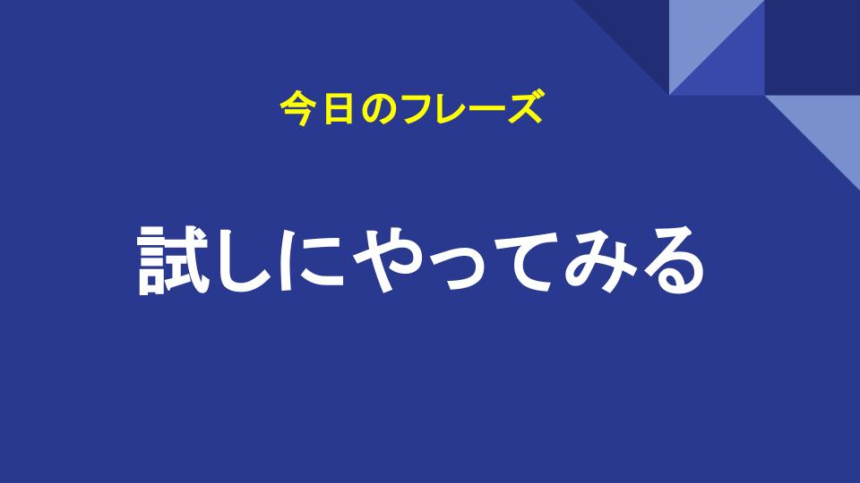 試しにやってみる