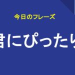 君にぴったり