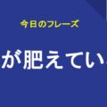 耳が肥えている