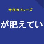 耳が肥えている