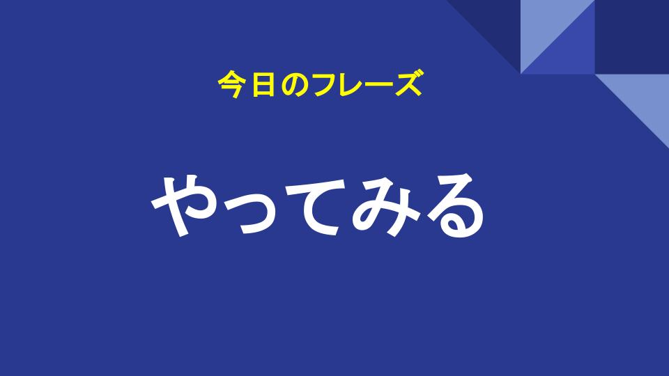 やってみる